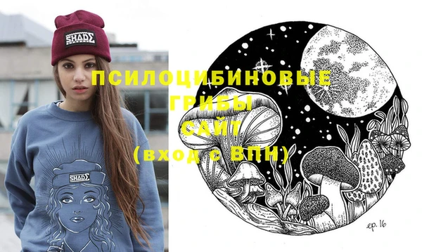 PSILOCYBIN Липки