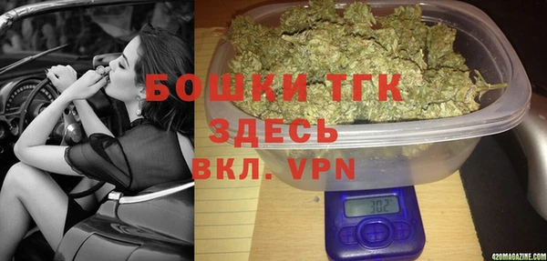 тгк Лиски