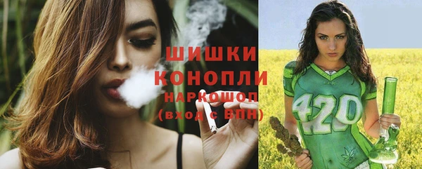 PSILOCYBIN Липки
