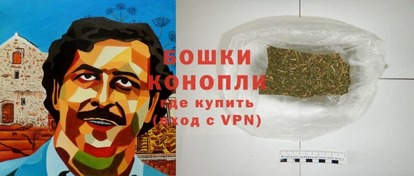 PSILOCYBIN Липки