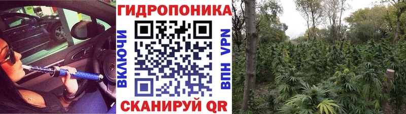 МЕГА рабочий сайт Юхнов Бошки марихуана VHQ